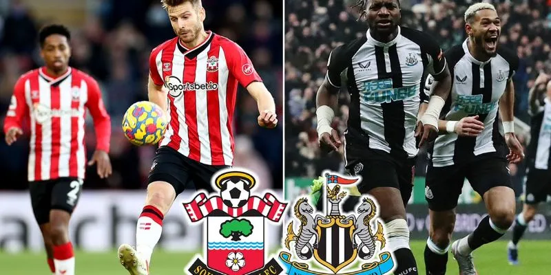 Tỷ số trận đấu Southampton vs Newcastle Utd theo phân tích chuyên gia