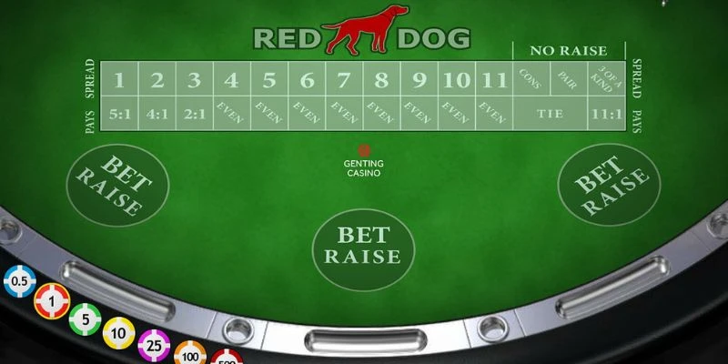 Khám phá những sai lầm khi chơi Red Dog